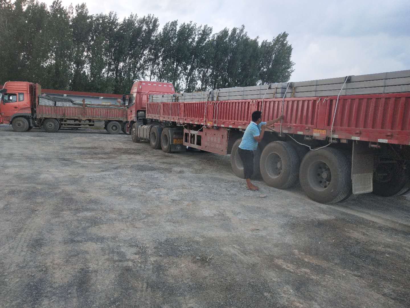 江蘇鹽城50000頭育肥施工現場